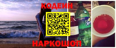 индика Сланцы