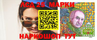 индика Сланцы