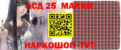 индика Сланцы
