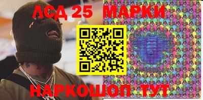 индика Сланцы