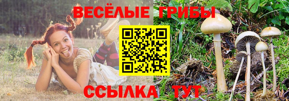 Псилоцибиновые грибы прущие грибы  Вход с VPN  Приморско-Ахтарск  Галлюциногенные грибы ЛСД 